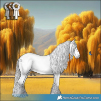 Horse Color:Gray White Spotted Liver Chestnut Sabino Splash Appaloosa  and Liver Chestnut Sabino Splash Appaloosa 