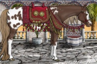 Horse Color:White Spotted Liver Chestnut Blanket 
