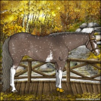 Horse Color:White Spotted Liver Chestnut Mushroom Snowflake Varnish 