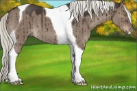 Horse Color:Liver Red Dun Mushroom Tobiano Brindle 