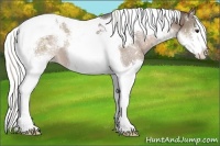 Horse Color:Liver Chestnut Mushroom Splash Tobiano 