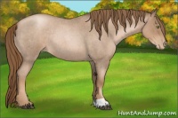 Horse Color:Liver Red Roan Pearl Rabicano 