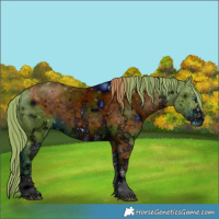 Horse Color:ERROR: UNKNOWN ANOMALY