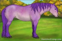 Horse Color:Watercolor Brown Dun Appaloosa 