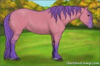 Horse Color:Watercolor Grullo Appaloosa 