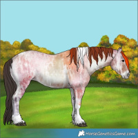 Horse Color:Bay Ice Onyx Tobiano 