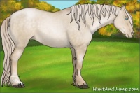 Horse Color:Chocolate Palomino Pearl Dun Sabino