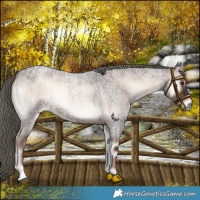 Horse Color:Liver Red Onyx Roan Mushroom 