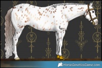 Horse Color:Bay Onyx Mushroom Appaloosa 