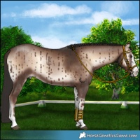 Horse Color:Liver Red Onyx