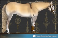 Horse Color:Chocolate Palomino Onyx