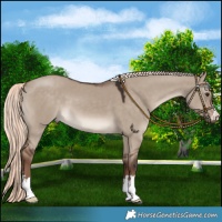 Horse Color:Liver Red Dun Mushroom 