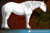 Horse Color:Black Sabino 