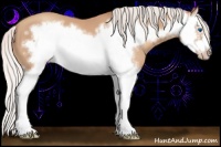 Horse Color:Silver Classic Champagne Splash Frame