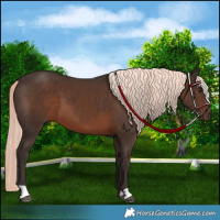 Horse Color:Liver Chestnut Mushroom 