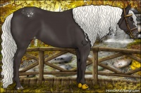 Horse Color:Liver Chestnut Mushroom Varnish 