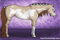 Horse Color:Red Dun Frame 