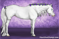 Horse Color:Cremello Dun 