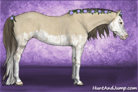 Horse Color:Classic Champagne Dun Sabino Splash  and Classic Cream Champagne Dun Sabino Splash 