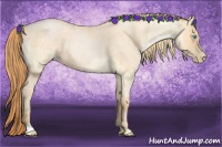 Horse Color:Buckskin Roan Pearl  and Buckskin Roan Pearl 