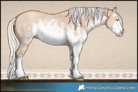 Horse Color:White Spotted Silver Sable Champagne Dun Sabino Splash Rabicano 