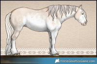 Horse Color:White Spotted Silver Sable Champagne Dun Sabino Splash Rabicano