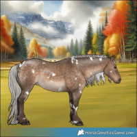 Horse Color:White Spotted Silver Brown Dun 