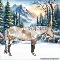 Horse Color:White Spotted Silver Brown Dun Rabicano 