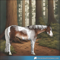 Horse Color:Silver Brown Sabino Tobiano 