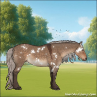 Horse Color:White Spotted Silver Brown Dun Sabino Rabicano 