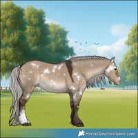 Horse Color:White Spotted Silver Brown Dun Sabino Rabicano 
