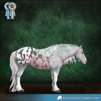 Horse Color:Watercolor White Spotted Silver Brown Ice Tobiano Blanket 