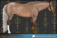 Horse Color:Silver Brown Dun