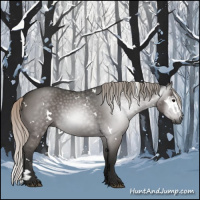 Horse Color:Gray White Spotted Silver Black Sabino Rabicano