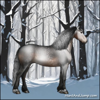 Horse Color:Gray Brown 