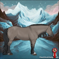 Horse Color:Grullo Sabino