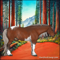 Horse Color:Silver Brown Tobiano Rabicano 