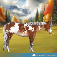 Horse Color:White Spotted Silver Bay 