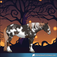 Horse Color:White Spotted Liver Chestnut Frame