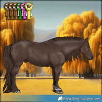 Horse Color:Liver Chestnut Tobiano 