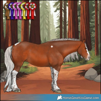 Horse Color:Silver Brown Splash Tobiano 