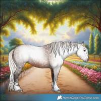 Horse Color:Gray Silver Bay 