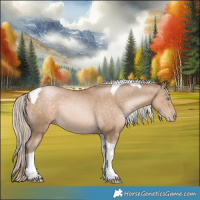 Horse Color:Chocolate Palomino Pearl Tobiano 