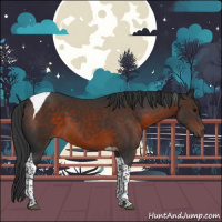 Horse Color:Brown Tobiano 