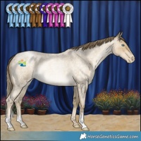 Horse Color:Buckskin Roan Pearl Rabicano 