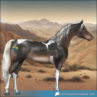 Horse Color:Liver Chestnut Mushroom Tobiano 