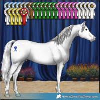 Horse Color:Gray Chestnut Rabicano