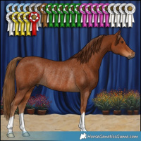 Horse Color:Gray Chestnut Rabicano 