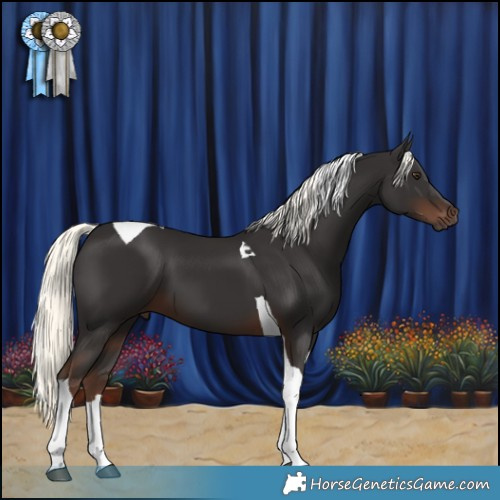 Horse Color:Liver Chestnut Mushroom Tobiano 