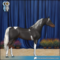 Horse Color:Liver Chestnut Mushroom Tobiano 